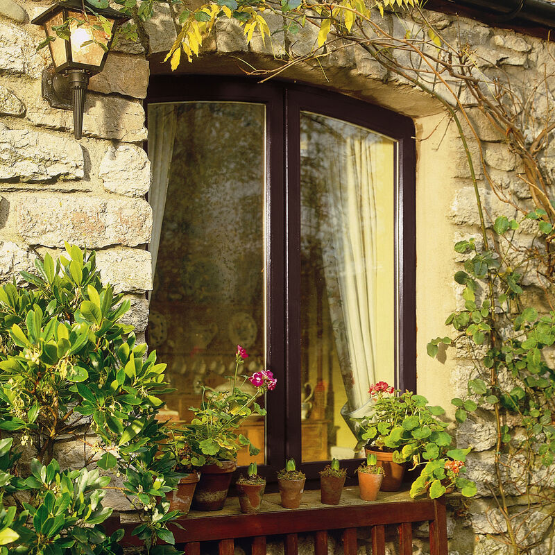 Sadolin Extra Jacobean Walnut