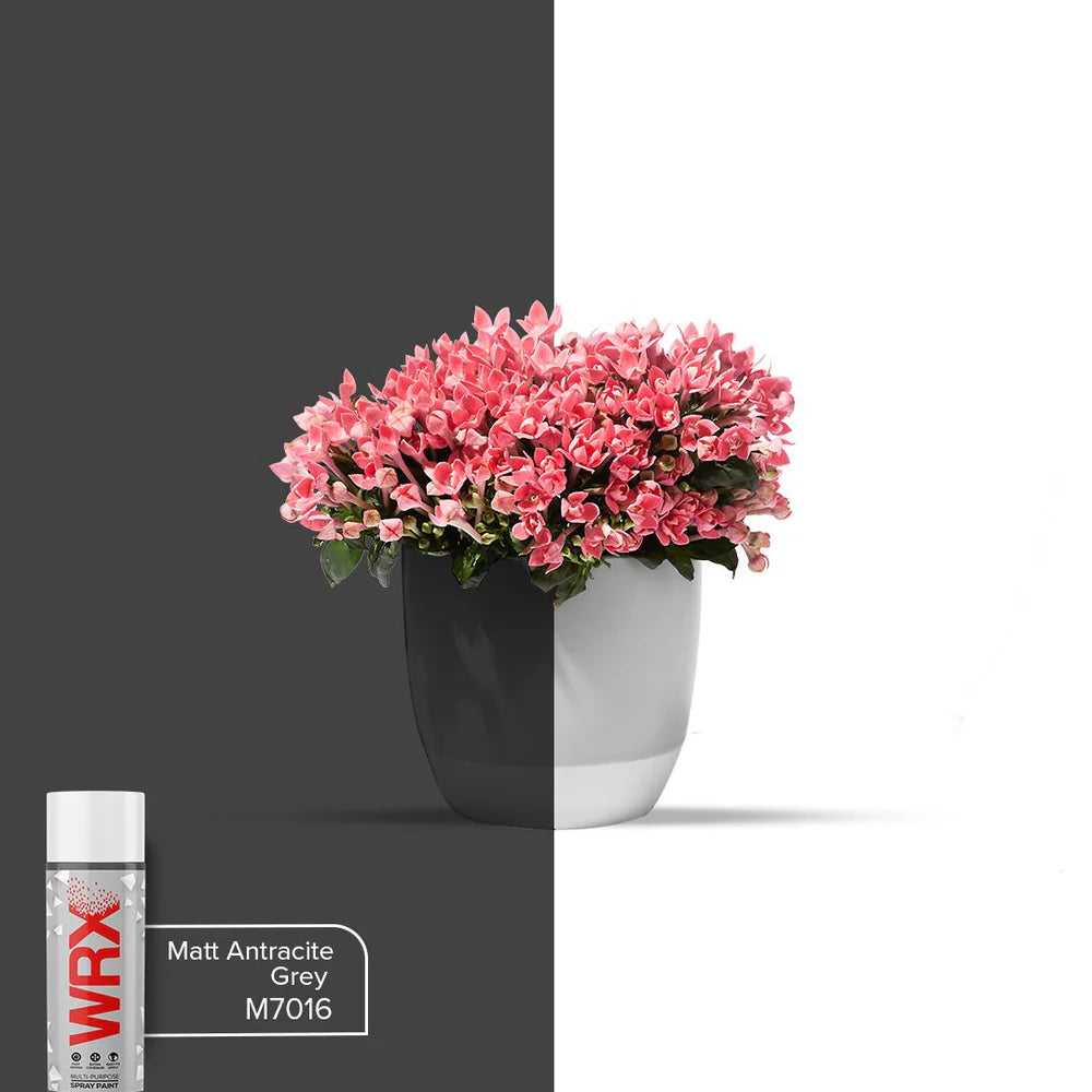 WRX Multi-Purpose Spray Paint Matt Anthracite Grey 400ml Ral 7016